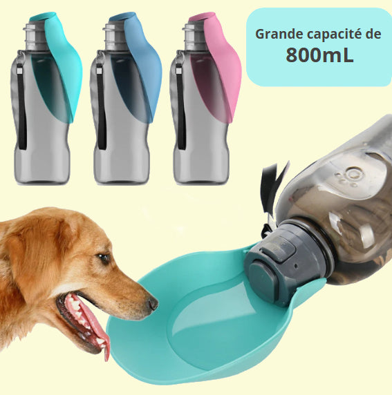 Bouteille d'eau portative pour chien