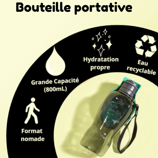 Bouteille d'eau portative pour chien