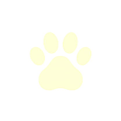Cat Dog Comb Pet Steam Massage Brush Safe Round Head Soft Teeth Spray Hair Removal Comb for Universal for Cats Dogs Accessories