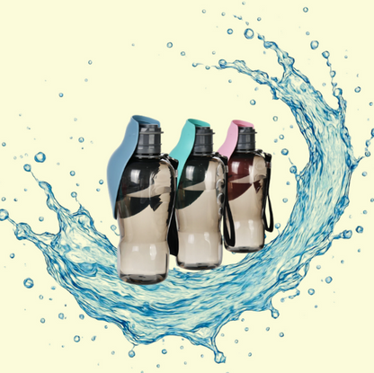 Bouteille d'eau portative pour chien